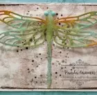 Detail of card using Dragonfly Dreams stamp and Detailed Dragonfly Thinlits from Stampin ' Up! by Paula Cannon for www.vintageandfresh.com