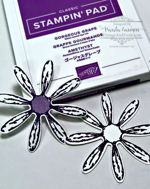 Two Gorgeous Grape daisies from the Daisy Delight stamp set by Stampin' Up! for a card from Paula Cannon at Vintage & Fresh.