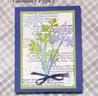 Card with Quiet Meadows stamp set from Stampin' Up by Paula Cannon, using Glimmer Paper.