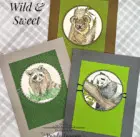 Trio of cards by Paula Cannon with the Wild & Sweet stamp set by Stampin' Up!