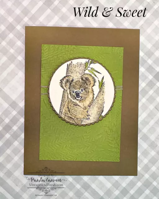 Koala image from Wild and Sweet stamp set on a card by Paula Cannon.